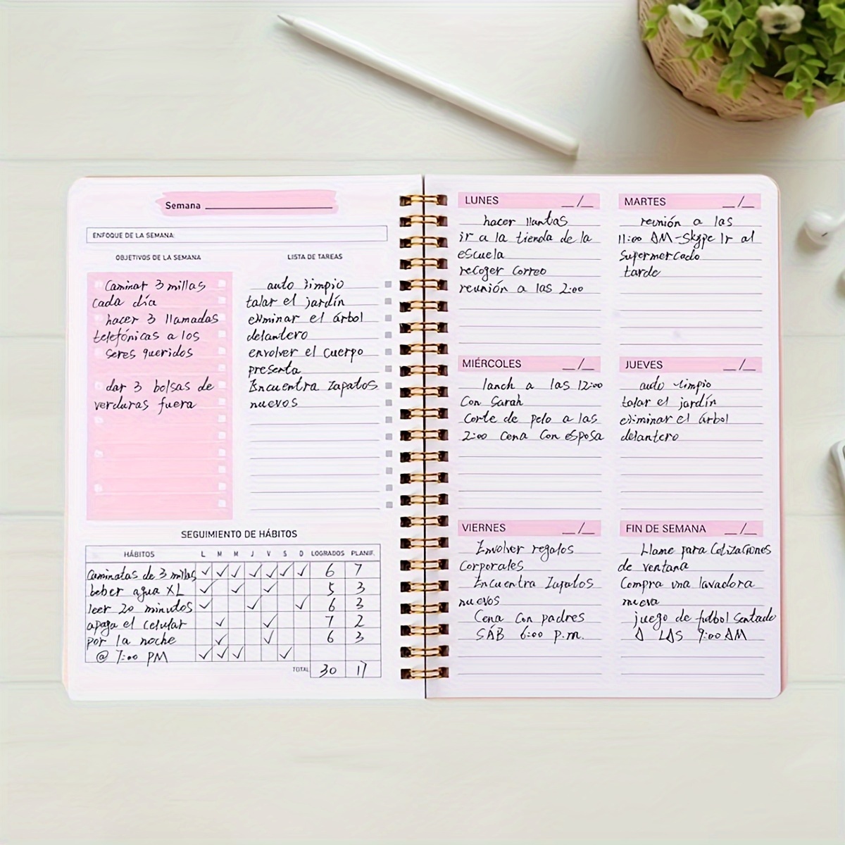 دليل كفاءة المخطط الأسبوعي بال - مراجعة Meal Prep Planner وسعره